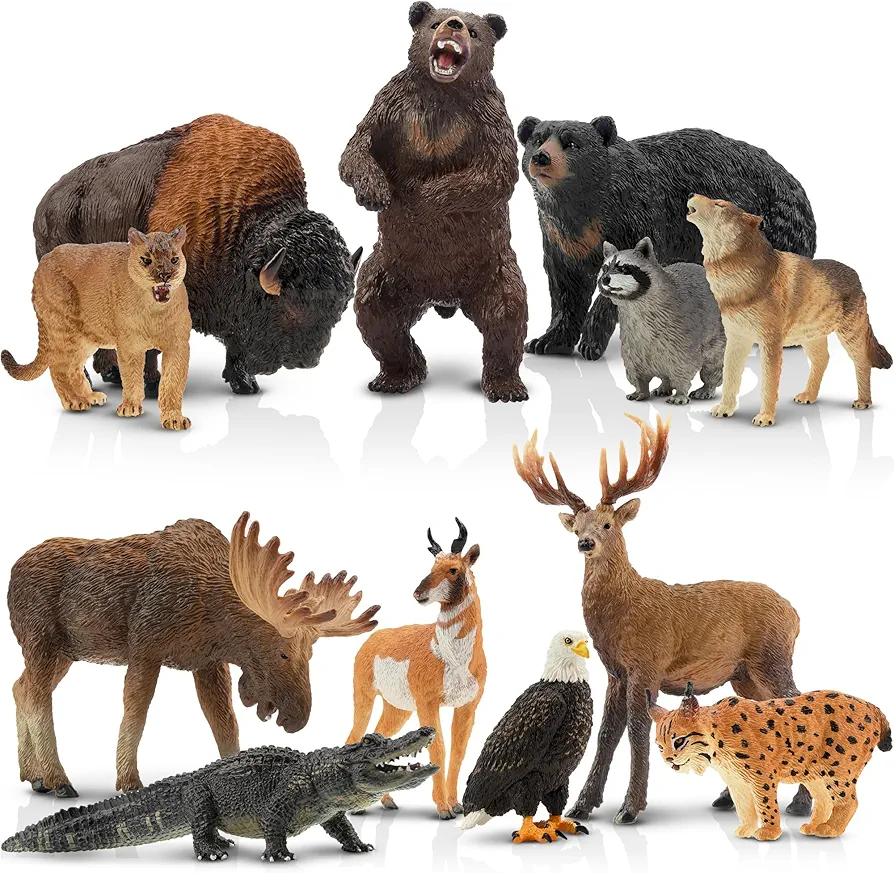 Toymany 12PCS North American Forest Animal Figurines, Realistic Jungle Animal Set Includes Raccoon,Lynx,Wolf,Bear,Eagle, Educational Toy Cake Toppers Christmas Birthday Gift for Kids Toddlers