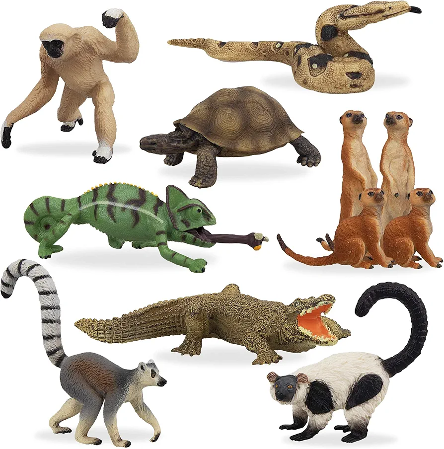 Toymany 11PCS Madagascar Jungle Animals Figurines Toy with Meerkat Lemur Chameleon Crocodile-Jungle Forest Zoo Animal Figures Set, Christmas Birthday Gift Party Favor School Project for Kids Toddlers