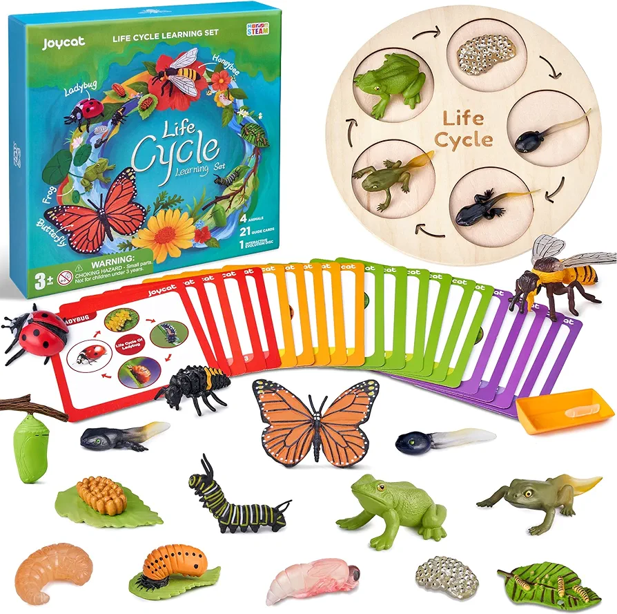 Montessori Life Cycle Learning Education Toys, Insect Caterpillar to Butterfly kit, Ladybug, Bee, Tadpole to Frog Kit Life Cycle Toys for Kids, Preschool Learning Activities for Age 3 4 5 6 7 8