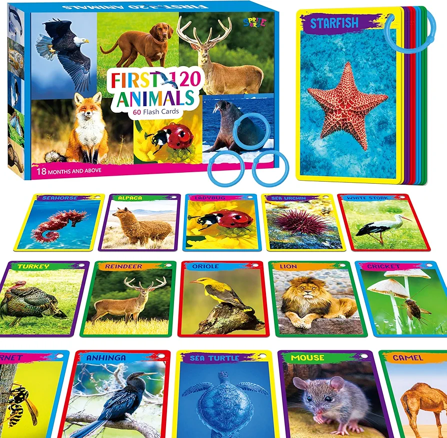 My First 120 Animals, 60PCS Realistic Zoo Animal Cards Farm/Wild/Marine Animals/Insects/Birds Flashcards Montessori & Science Educational Toys Preschool Learning for Homeschool Preschool Toddler Kids