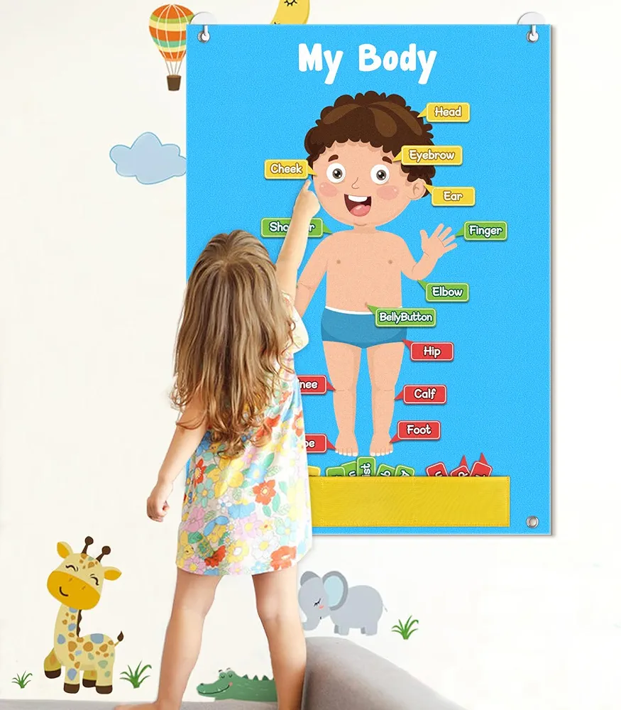 35 Pcs Body Parts for Kids Felt Board Set Preschool Learning Interactive Educational Human Teaching Storytelling Early Learning Play Kit Interactive Wall Activity for Kids