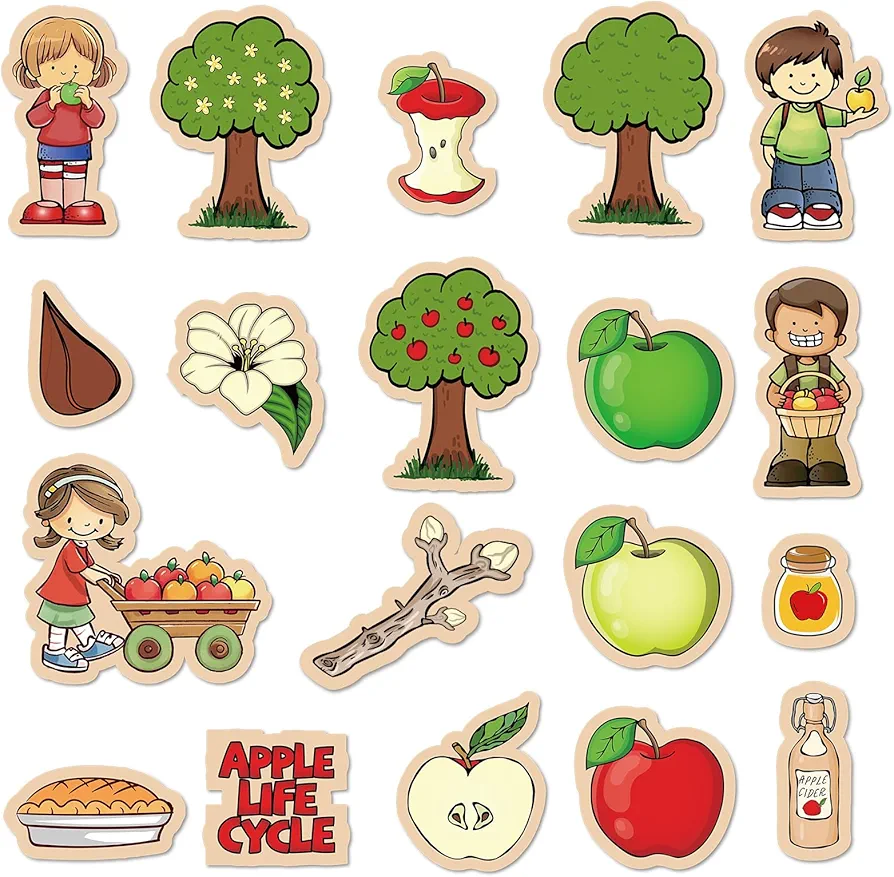 19 Pcs Fruits Life Cycle Felt Board Pieces Set Interactive Storytelling Teaching Kits Felt Board Story Set for Preschool Classroom Kindergarten Boys Girls Flannel Board